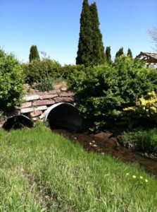 Creek-Bridge-Pic