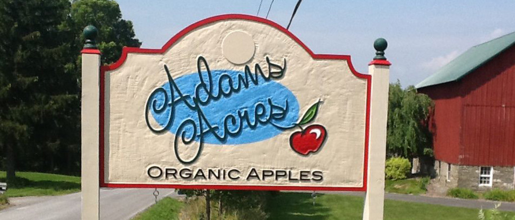 Bite into Apple Season in CNY