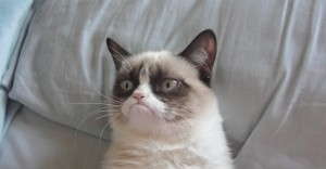 grumpycat