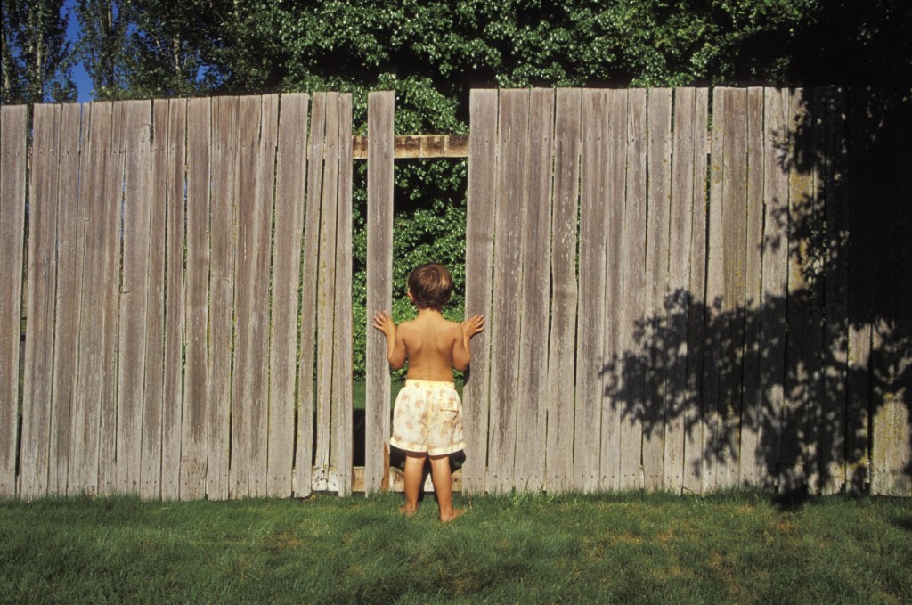 Peeking through the fence. Thinkstock Photo. 