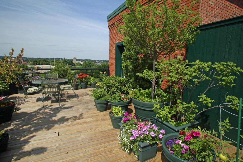 The roof-top garden at Mission Landing in Franklin Square. Photo by Gloria Wright | Syracuse New Times