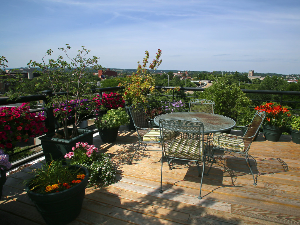 Flowering plants and trees decorate the roof-top deck at Mission Landing in Franklin Square. Photo by Gloria Wright | Syracuse New Times