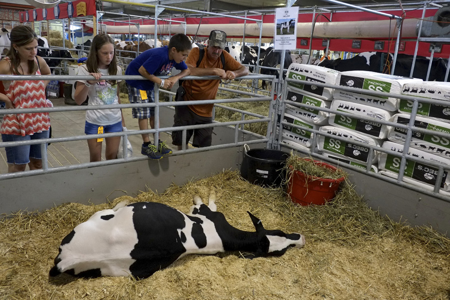 The New York State Fair 2014. Michael Davis Photo | Syracuse New Times