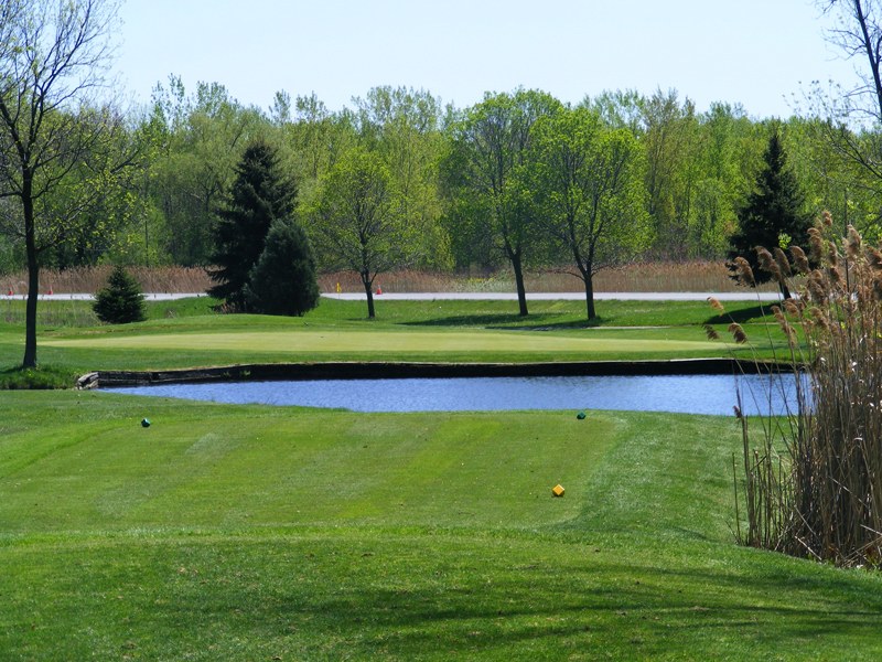 The second hole at Liverpool is a par three with a small pond in front. Photo from www.lgpcc.com