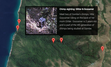  Google Maps in Gombe National Park Photograph: Google 