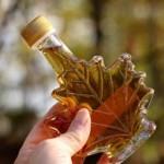 The Sweetest Time Of Year Maple Syrup