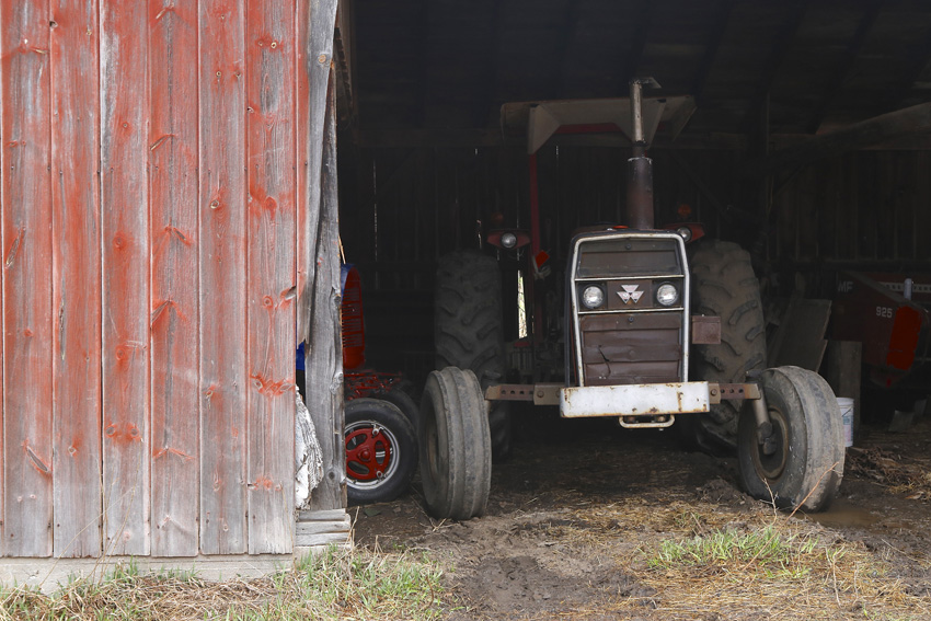 "I don't think many people visit a farm to take pictures of tractors,'' Volz says. "But they do visit here to take pictures of the horses.'' Michael Davis Photo | Syracuse New Times