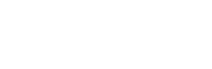 Syracuse Newspaper - Syracuse New Times
