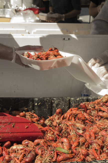 A gloved hand passes a full container of crawfish over to another server. The cooked mudbugs are being shoveled out of a large tray.