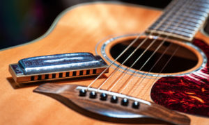 The Plainville Music Festival will showcase a range of folk artists.