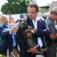 Gov. Andrew Cuomo holds a small dog in his arms at the state fair. This latest blog post discusses his lax attitude toward rampant state government corruption.