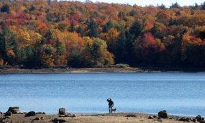 A man and a dog stand in the foreground, facing a large, blue lake. On the dar side is a thick line of trees, all changing colors for autumn.