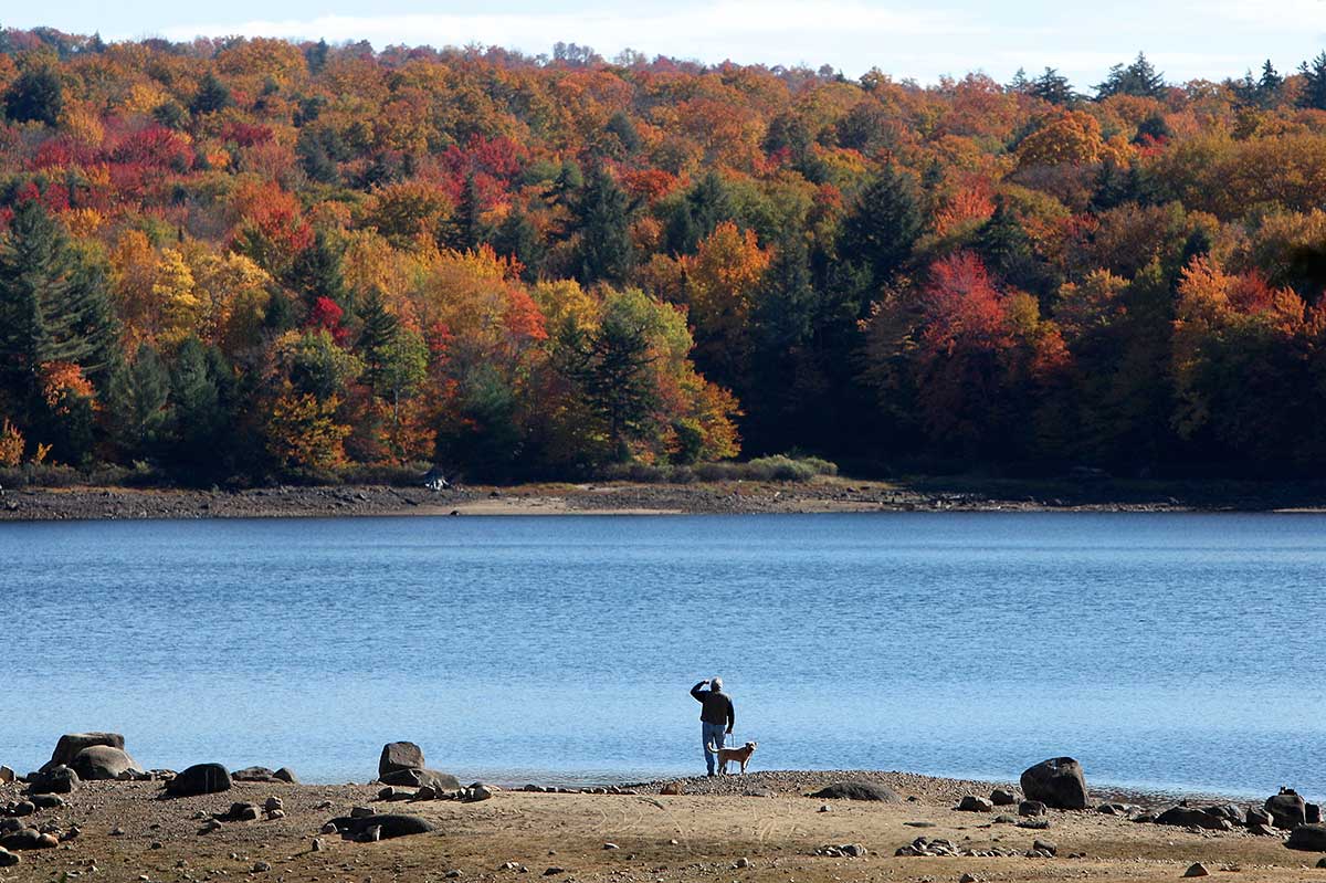 A man and a dog stand in the foreground, facing a large, blue lake. On the dar side is a thick line of trees, all changing colors for autumn.