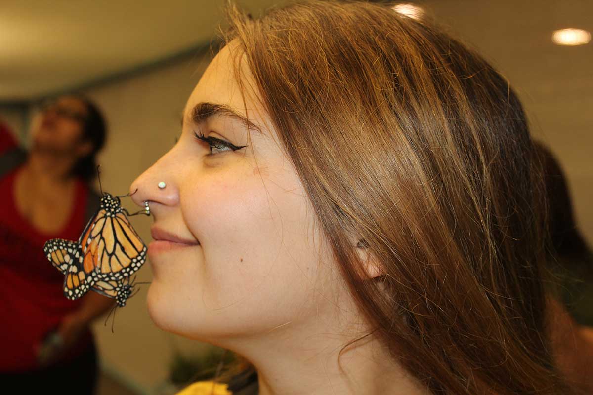 Two monarch butterflies perch on the end of a girl's nose as she stands in an open-air butterfly exhibit.